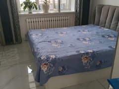 海拉尔河西伊仕丹购物广场电力小区(陵园街) 2室1厅1卫出租房源真实图片