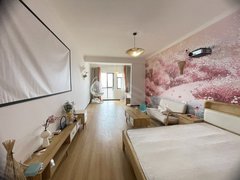 曲靖麒麟万达广场水岸雅苑 1室1厅1卫 豪华装修 电梯房 45平出租房源真实图片