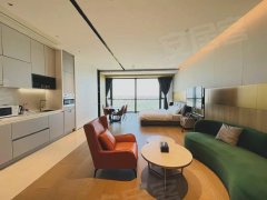 六号线豪华公寓ART PARK精装平层一居室地暖新风中央空调