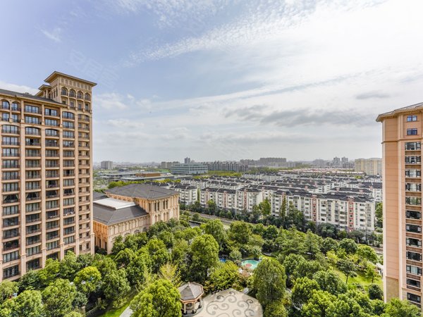 上海闵行颛桥上海星河湾(一期)星河湾一期中间位置4套房加保姆间,家具