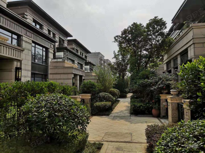 江心洲 升龙公园道桂园(别墅) 联排 全新精装 有院子