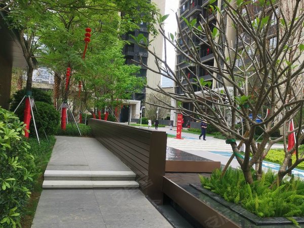 深圳光明光明勤诚达正大城悦园勤城达正大城3期新房,业主出租急急急