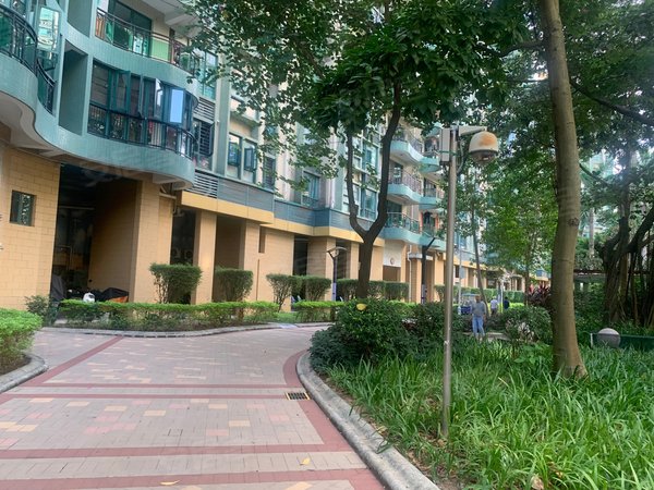 深圳宝安新安建安花园灵芝地铁站400米,九区建安花园,3房2厅,中间朝南