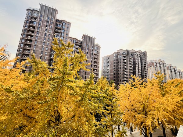 古北瑞仕花园 3室2厅2卫 配套齐全 精装修 南北通透,长宁租房-上海58