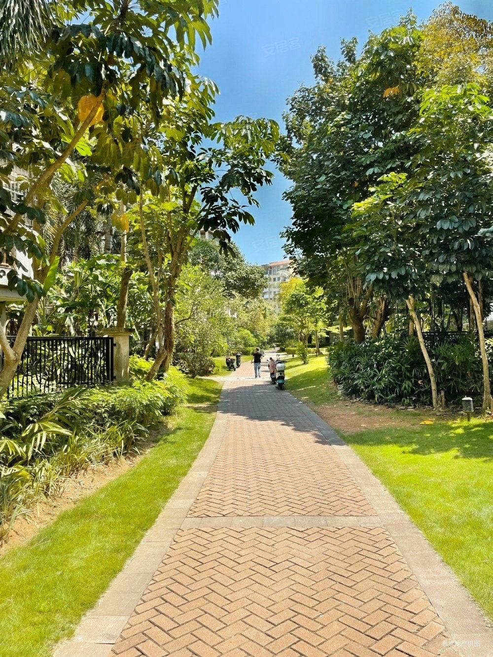 新埠岛大道 新世界花园3房 精装 118平 205万,新世界花园二手房,205万