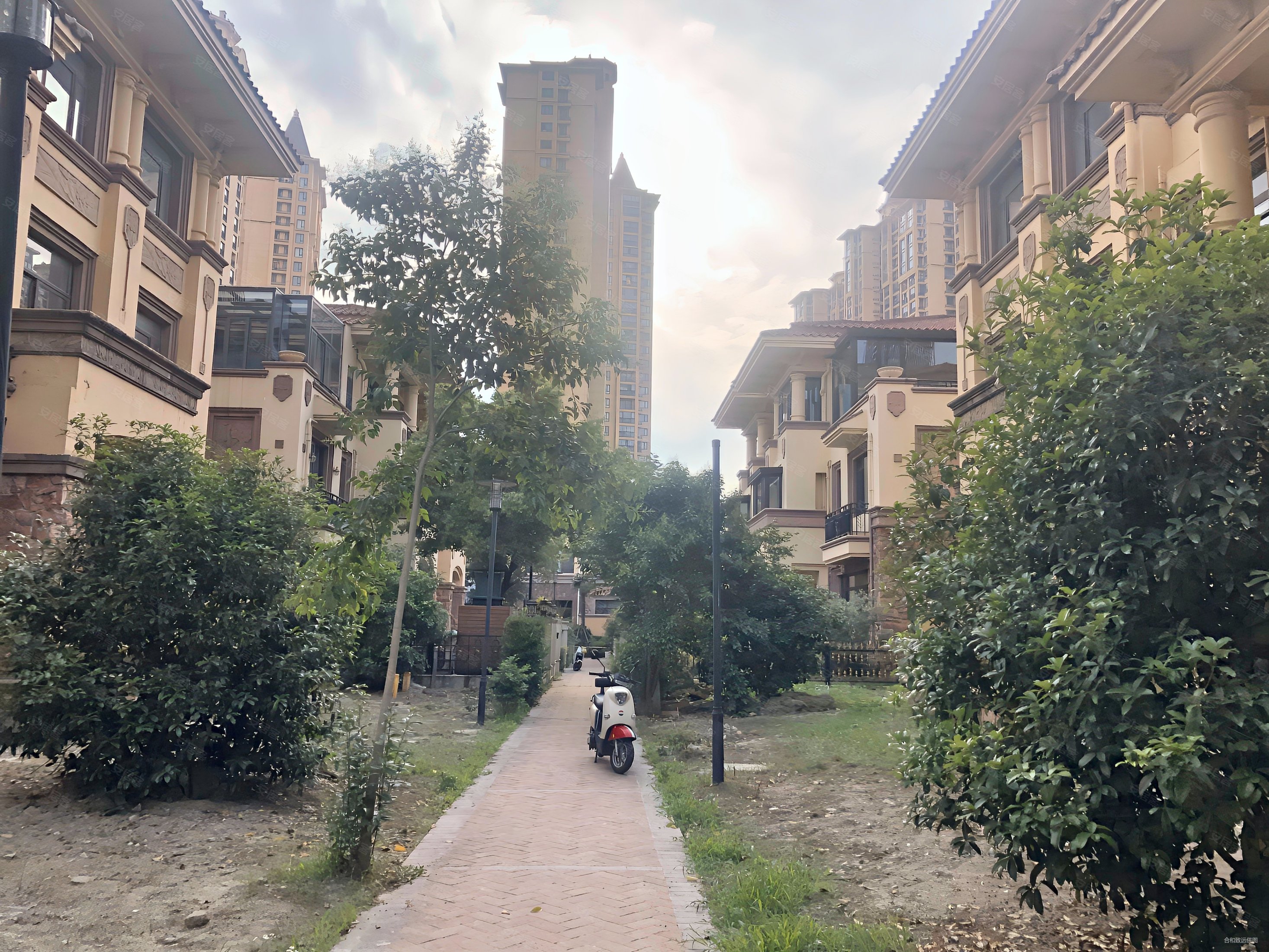 地铁口棕榈湾独栋别墅带4个独立车位赠送4面大花园