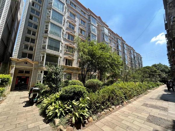 昆明五华莲花片区长城小区五华区教场中路网红街蓝花楹戎锦花园旁长城