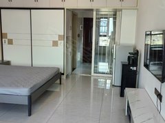 醴陵太一商城醴陵市区金色锦城 单身公寓 9成新 简约风 直接住！出租房源真实图片