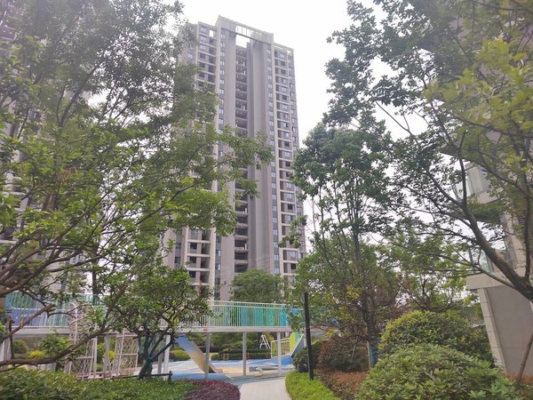 杭州临安青山湖旭悦城青山湖科技城地铁站未来旭辉城三室,优惠出租