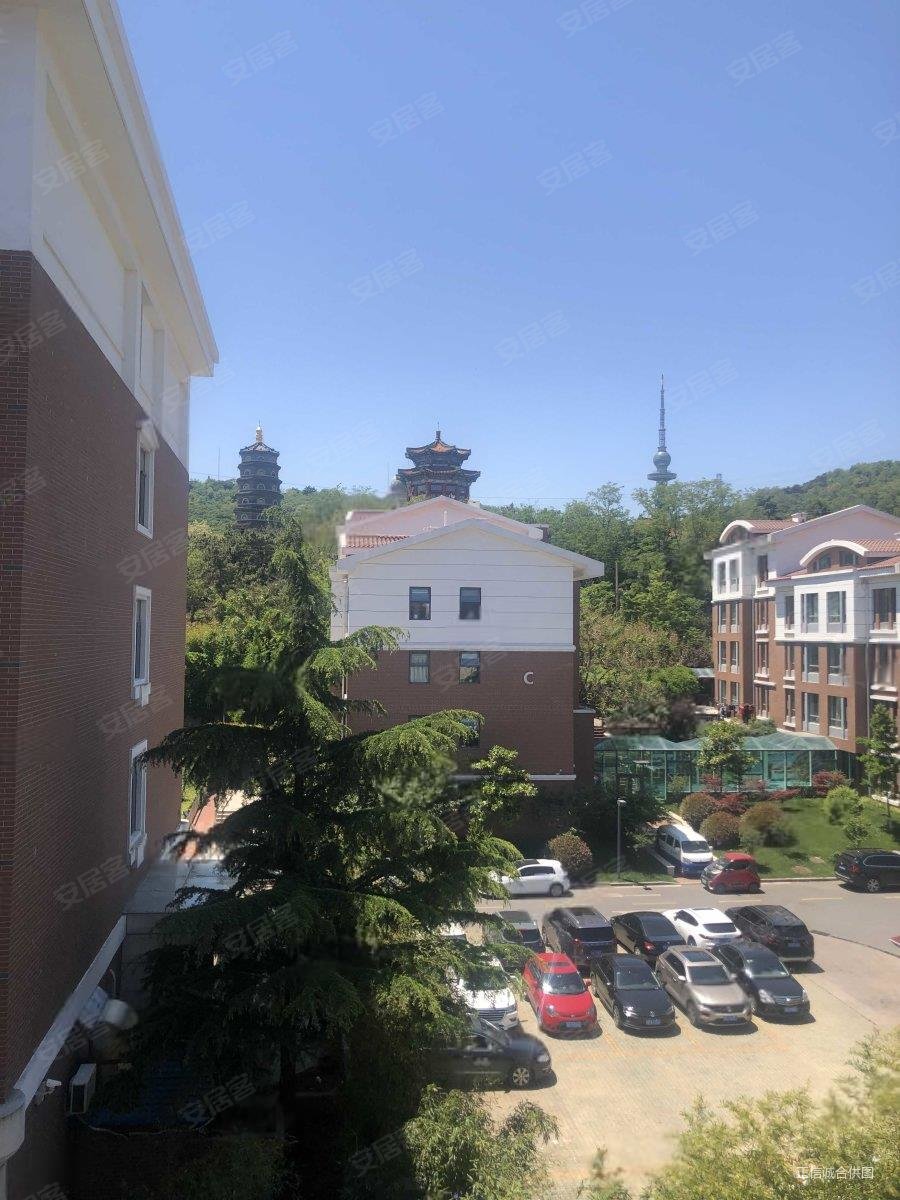 湛山花园2012年封闭小区金色国际公寓电梯洋房市南实验5