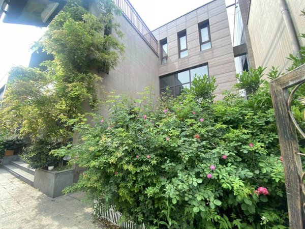 杭州萧山闻堰通和南岸花城(公寓住宅)南岸花城 独栋别墅 客厅带8米