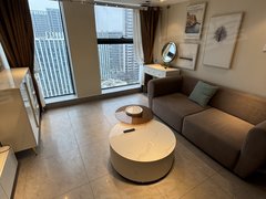 合肥滨湖新区新省府招商城市主场loft复式一室一厅带衣帽间全屋定制家具装修清新出租房源真实图片