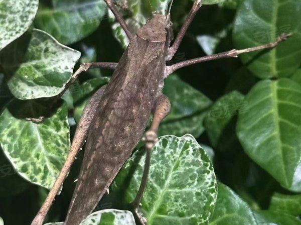 泉州丰泽北峰山水秋鸣山水秋鸣 3室2厅2卫出租房源真实图片