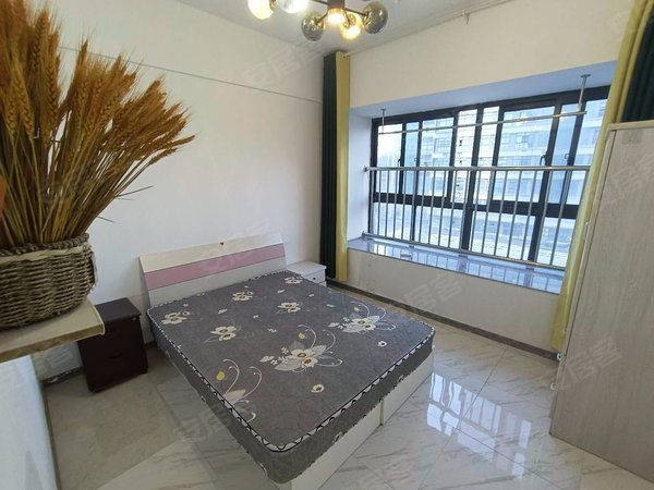 临港新城租房,单身公寓,拎包入住,电梯高层,浦东租房-上海58安居客