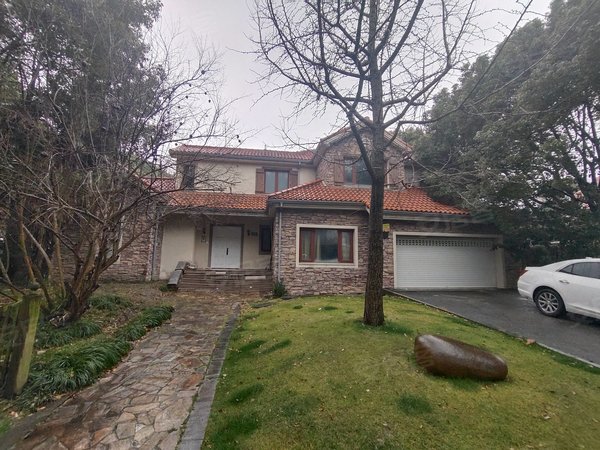 上海闵行马桥中房森林别墅中房森林别墅新出网红拍摄直播基地,高尔夫