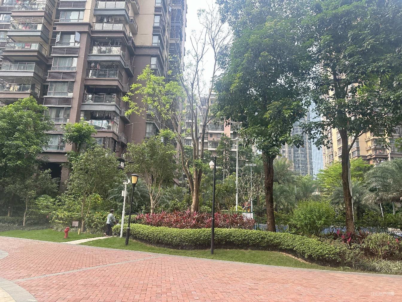 荣和千千树 翠竹  对面