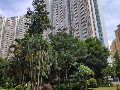 桃源村深圳 420x315c.jpg?t=1