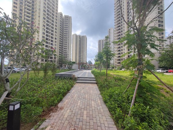 三亚海棠永宁海棠湾林旺(二期)海棠湾林旺(二期) 3室2厅1卫 电梯房 精