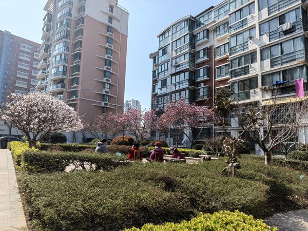 青岛市北浮山后埠西花园近地铁封闭埠西花园套二厅1楼精装全齐地暖首