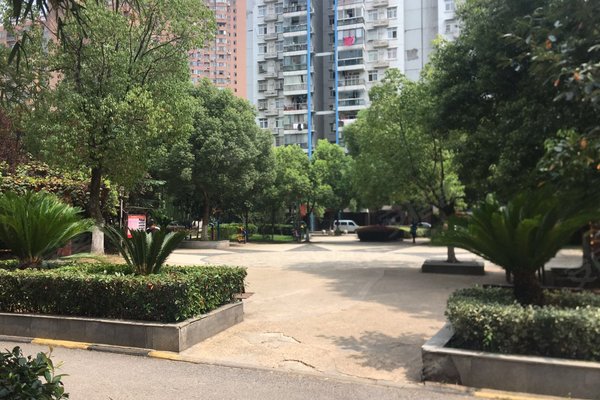 香缇美景附近学校有哪些?距离远吗?_刘庆琴解读:小区内自带育苗幼儿.