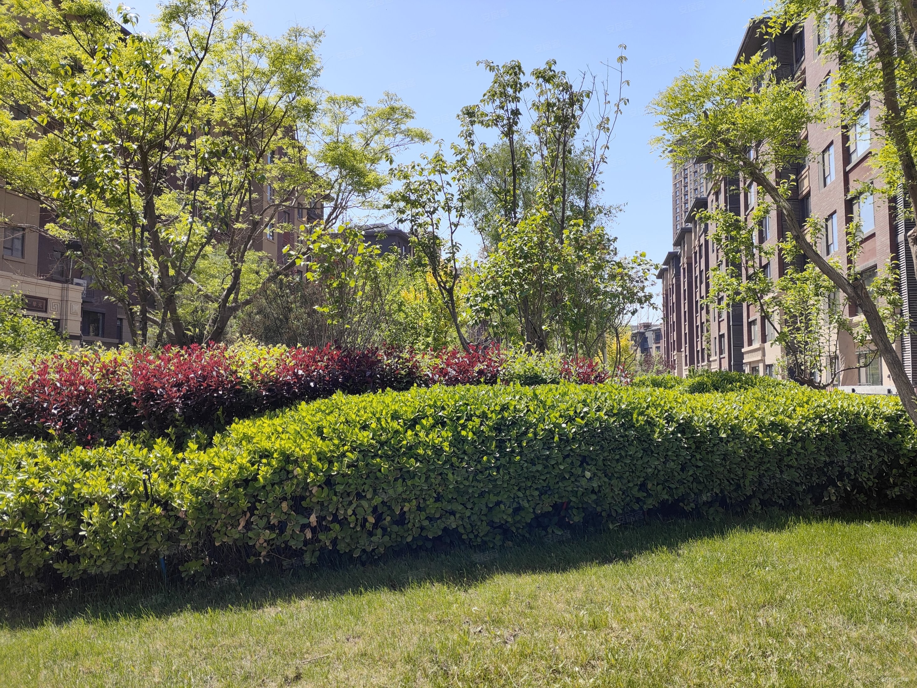 玺云台北区小高层 9楼 四室双卫 位置好带车位 密码锁随时看