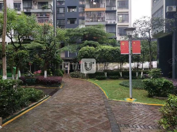 南宁兴宁区政府大嘉汇东城精装 1室 电梯房 面议 大嘉汇东城 整租 32