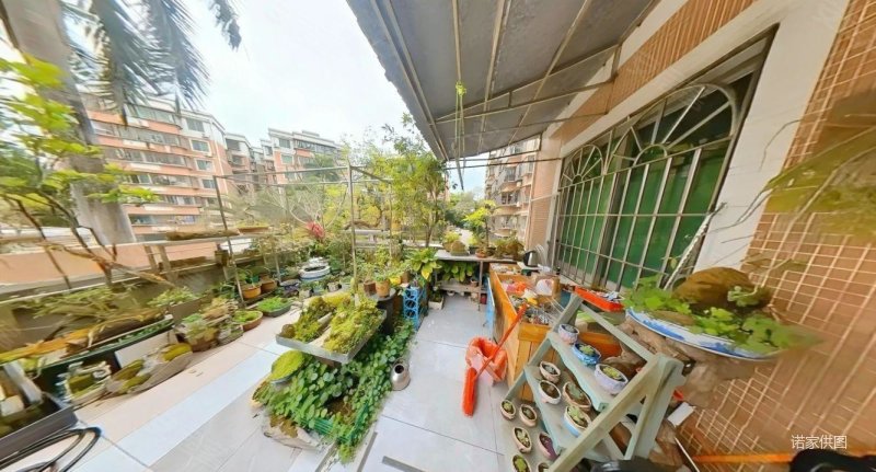 广福花园 带几十平的私家花园 适合种花种菜   近