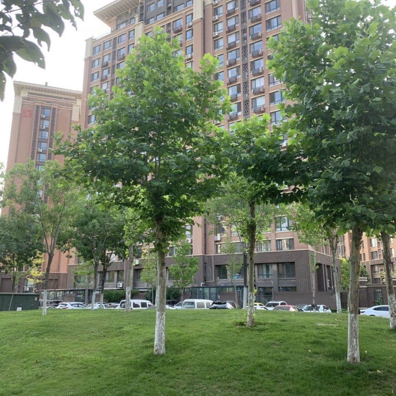 【万科海云台, 万科海云台小区详情,房价走势,房源,业主论坛】- 烟台