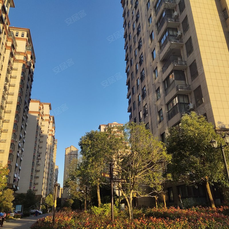 【顺达玫瑰园, 顺达玫瑰园小区详情,房价走势,房源,业主论坛】- 池州