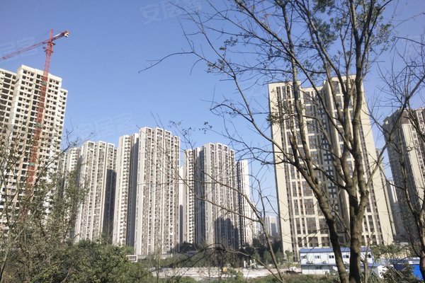 洺悦国际怎么样,好不好_中介房产经纪人:豆向飞对洺悦国际的评价-重庆
