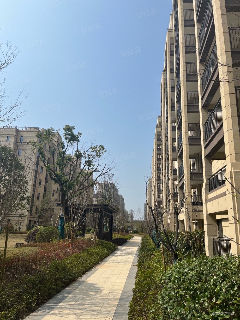 喜星澜府洋房南边双阳台北面也才阳台4开间朝南户型好