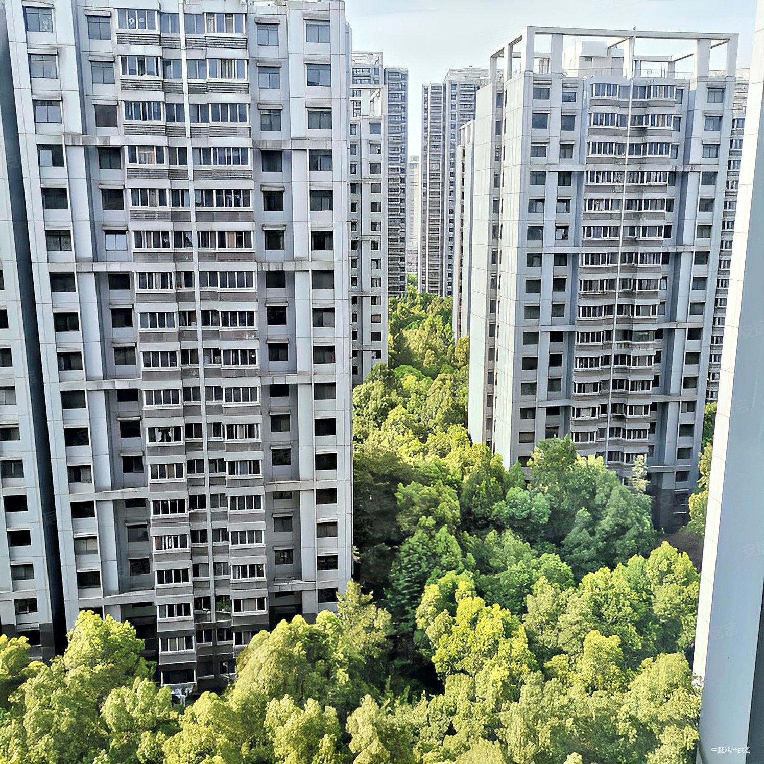 合肥房产网>合肥二手房>政务二手房>天鹅湖二手房>天鹅湖畔小区>