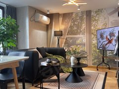 合肥政务天鹅湖政务 天鹅湖 蔚蓝商务港 百利中心 万象城 复式 精装月付出租房源真实图片