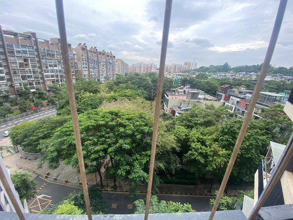 深圳龙岗横岗中海大山地(北区)14号线六约北 中海大山地 业主自住