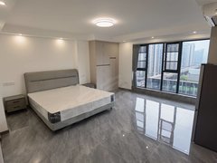 宜宾叙州南岸西区星未来 大户型1500一室一厅 邻近万象天地 宜宾站出租房源真实图片