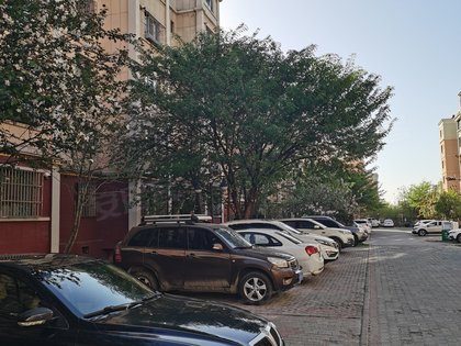 君悦龙庭 伊宁市-伊宁市体育中心-平安街