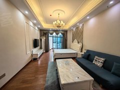 醴陵太一商城醴陵市区姜湾公馆 豪装公寓 9月新上品牌家电家具齐全 指纹锁出租房源真实图片