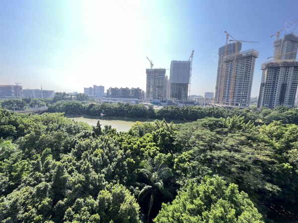 广州海珠琶洲畔江花园磨碟沙电商圈,豪华装修,电梯4房,家私家电齐全