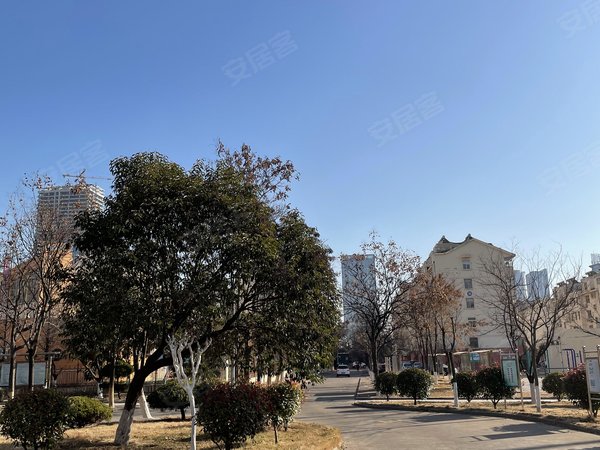 日照东港新市区御景东方御景东方  195平精装四居室 拎包入住 南北