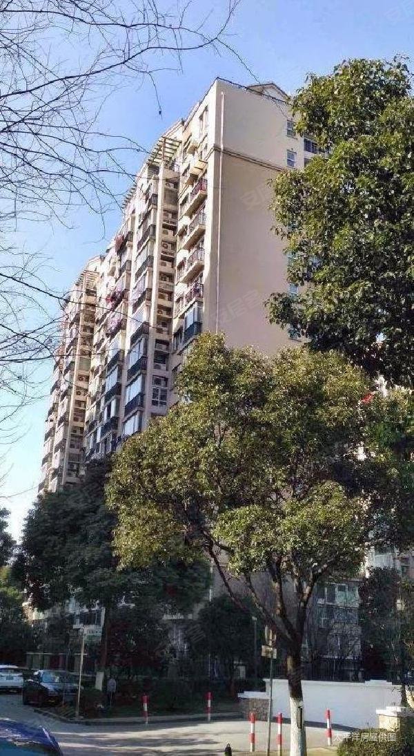 七宝 碧林湾 南北通透 交通便捷 双卫 板楼 小区绿化高,碧林湾(公寓