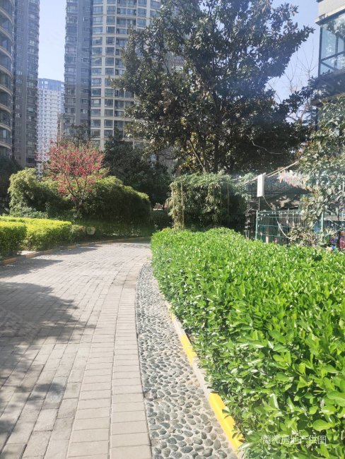 丈八北路利君明天两室好房出售交通便利随时看房