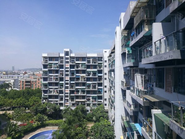 【多图】蓝钻风景,宝龙租房,龙岗智慧家园旁,蓝钻风景精装一房一厅