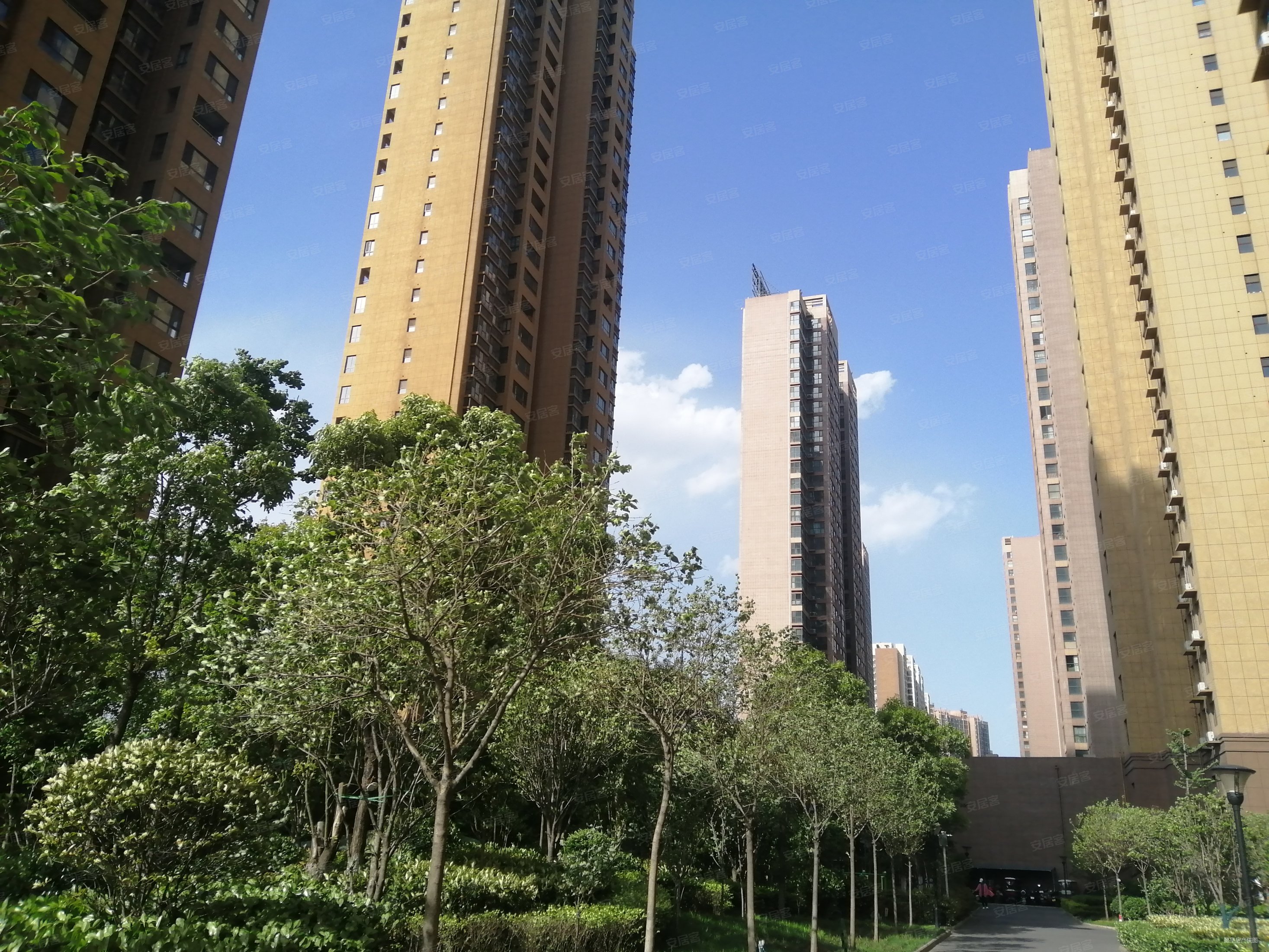 洛阳二手房 洛龙二手房 大学城二手房 滨河御景苑