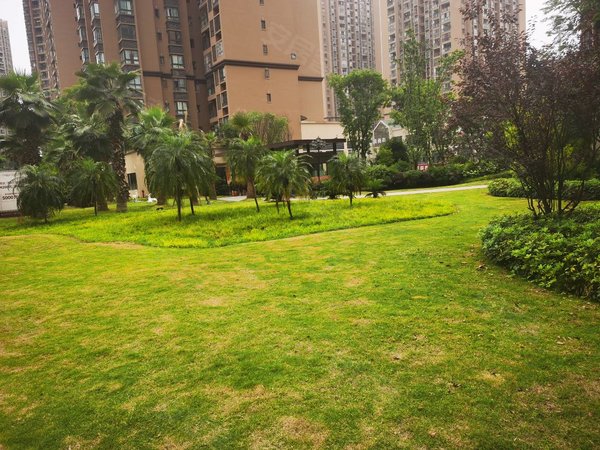 重庆合川钓鱼城街道花滩国际新城花漫里花漫里洋房豪装3房出租出租