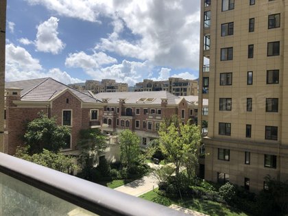 中央山公馆优点,不足,中央山公馆怎么样,中央山公馆周边房产中介经纪