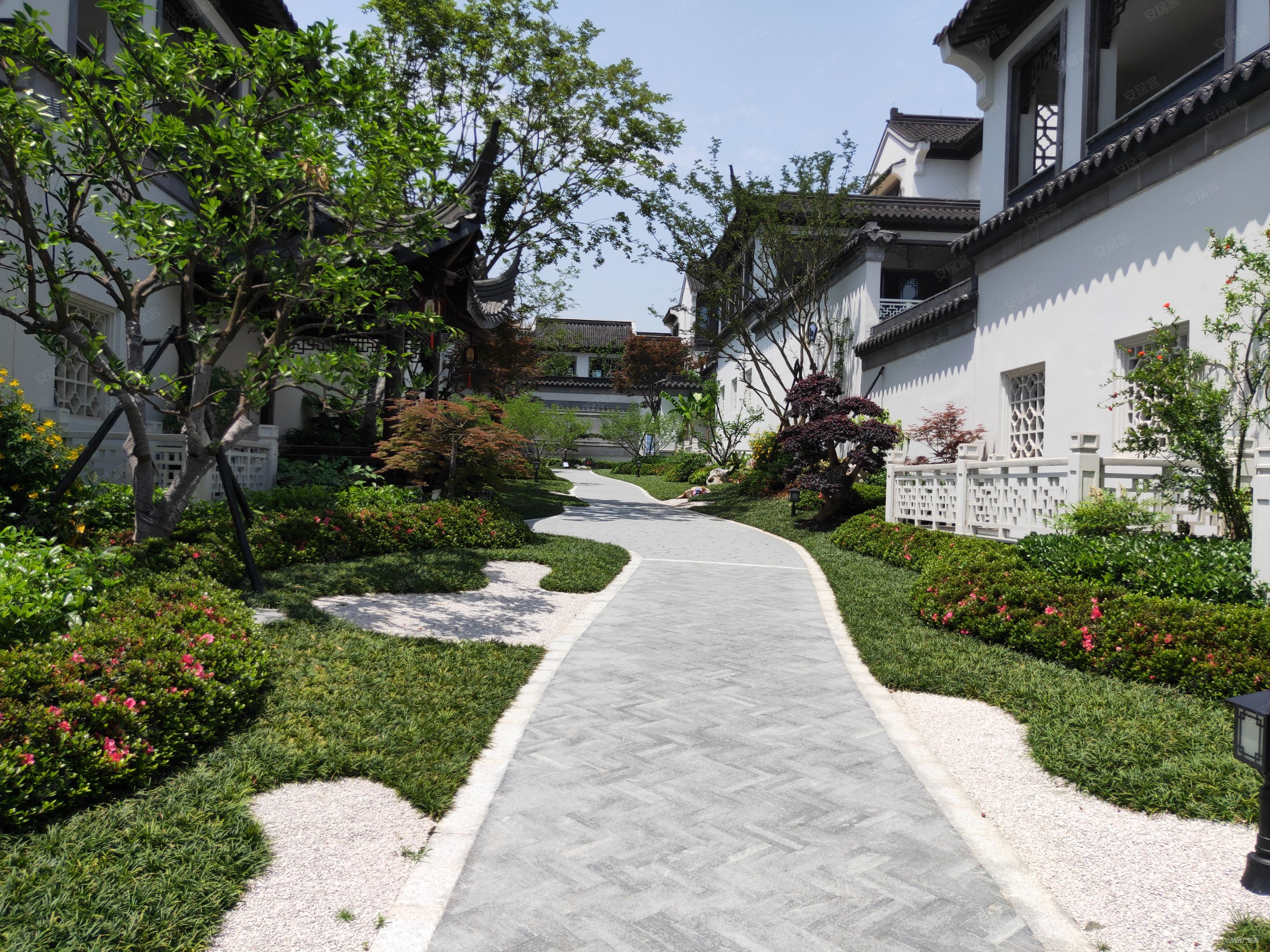 中式合院 四套房朝南 南花園 雙層地下室免大稅,綠城富春玫瑰園(別墅)