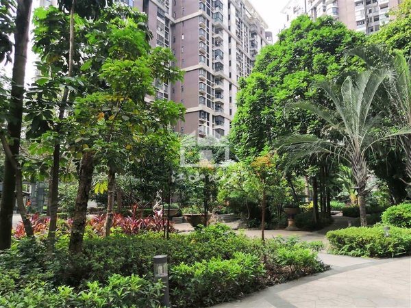 【多图】骋望骊都(南区),相思湖新区租房,骋望骊都南区 2房2厅,西乡塘