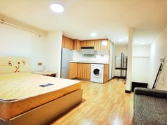 东莞南城西平思朗广场双御(商住楼) 1室1厅1卫  电梯房 精装修出租房源真实图片