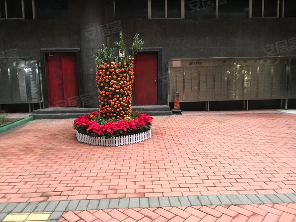 广州越秀公园前文星阁文星阁原装电梯三房一厅两卫,东南向近地铁随时