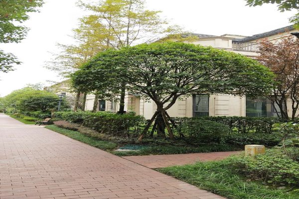 不足,复地花屿城怎么样,复地花屿城周边房产中介经纪人评价-重庆安居